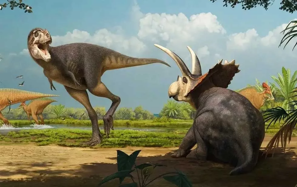 Una propuesta artística de Labocania aguillonae, un tiranosaurio mexicano de patas largas, enfrentándose a un Coahuilaceratops.Credit...Rivera-Sylva and Longrich, Fossil Studies 2024