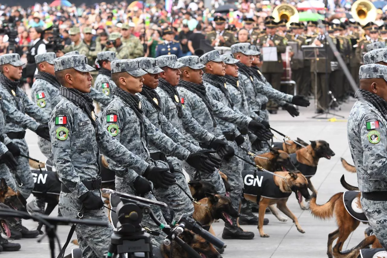 reforma de la guardia nacional